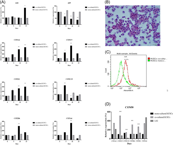 Inducing differentiation of human urine-derived stem cells into hepatocyte-like cells by coculturing with human hepatocyte L02 cells