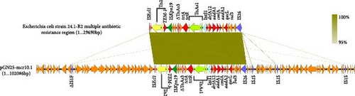 Details are in the caption following the image Details are in the caption following the image