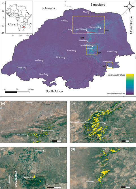 Habitat selection of an endangered primate, the samango monkey (Cercopithecus albogularis schwarzi): Integrating scales to prioritize habitat for wildlife management