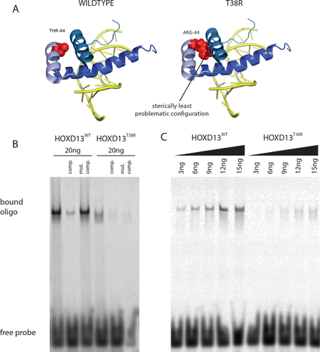 Details are in the caption following the image Details are in the caption following the image