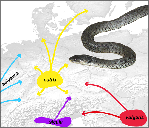 Details are in the caption following the image Details are in the caption following the image