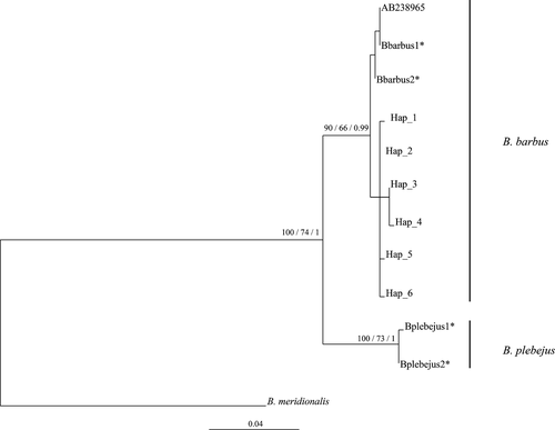 Details are in the caption following the image Details are in the caption following the image