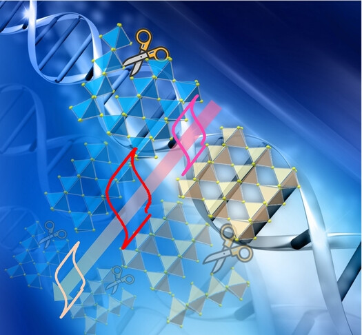 Precise Tailoring of Unprecedent Layered Perovskite-Type Heterostructure Ferroelectric via Chemical Molecular Scissor
