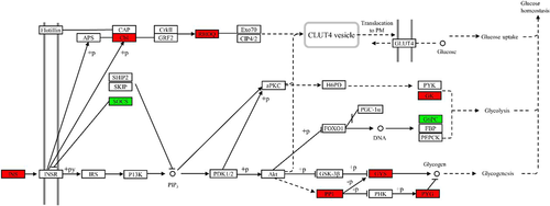 Details are in the caption following the image Details are in the caption following the image