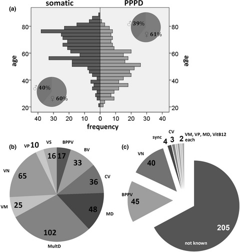 Multimodal treatment of persistent postural–perceptual dizziness