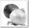 inline image