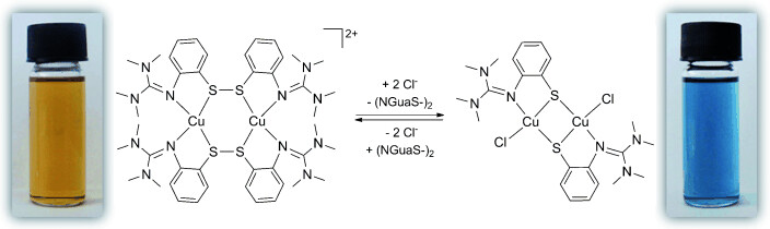 A Halide-Induced Copper(I) Disulfide/Copper(II) Thiolate Interconversion