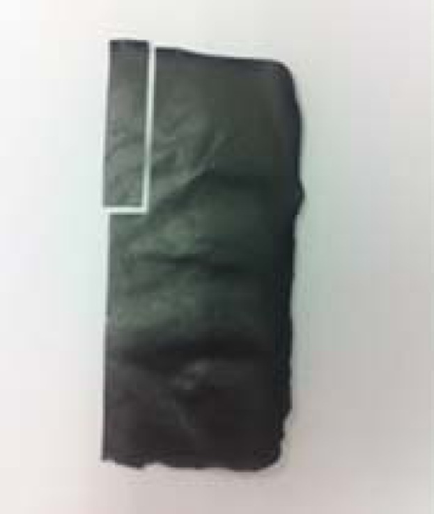 Preparation and characterization of expanded graphite polymer composite films for thermoelectric applications