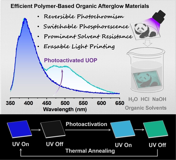 Switchable and Highly Robust Ultralong Room-Temperature Phosphorescence from Polymer-Based Transparent Films with Three-Dimensional Covalent Networks for Erasable Light Printing