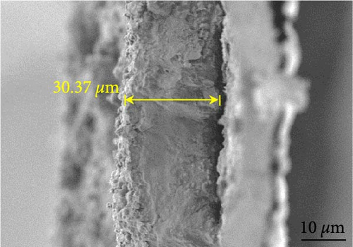 Details are in the caption following the image