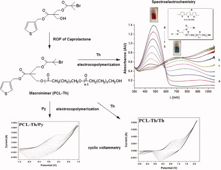 Synthesis of a novel macroinimer based on thiophene and poly(ε-caprolactone) and its use in electrochromic device application