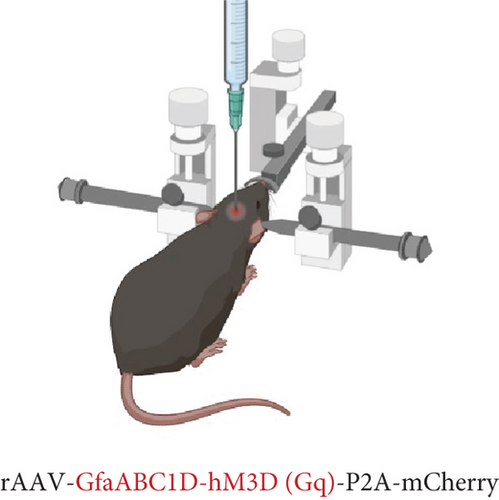 Details are in the caption following the image