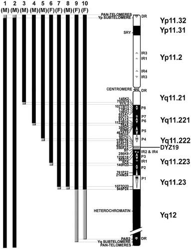 Details are in the caption following the image