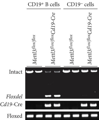 Details are in the caption following the image