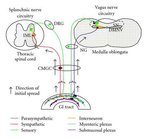 Details are in the caption following the image