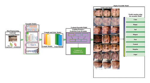 Details are in the caption following the image Details are in the caption following the image