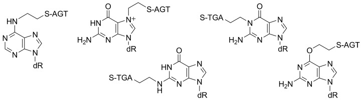 Detection and Characterization of 1,2-Dibromoethane-Derived DNA Crosslinks Formed with O6-Alkylguanine-DNA Alkyltransferase