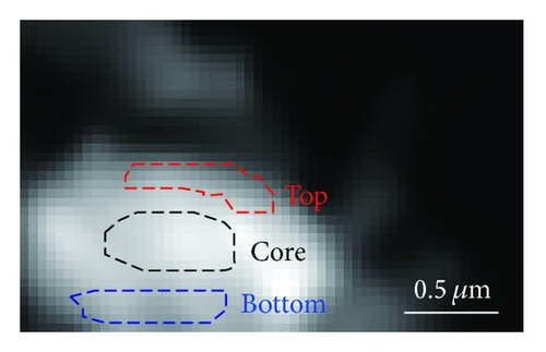 Details are in the caption following the image