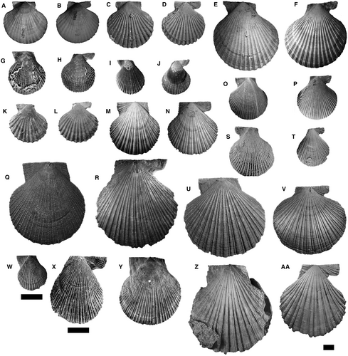 Details are in the caption following the image