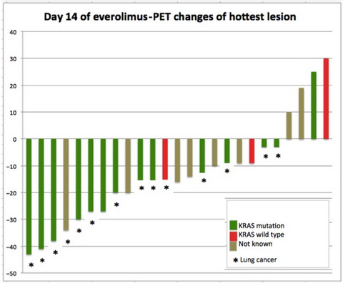 Sorafenib and everolimus in patients with advanced solid tumors and KRAS-mutated NSCLC: A phase I trial with early pharmacodynamic FDG-PET assessment