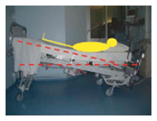 Details are in the caption following the image