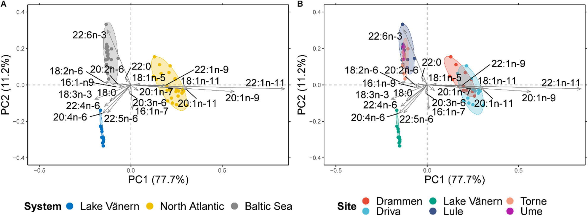 The Implications of Atlantic Salmon (Salmo salar L.) Fatty Acid Profiles for Their Thiamine Status