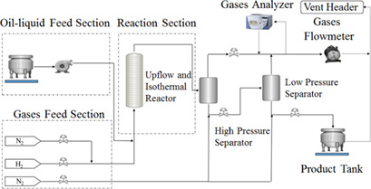 Deactivation Analysis of Industrial Spent Catalysts Applied to Lube Oil Hydrotreating in a Pilot Plant