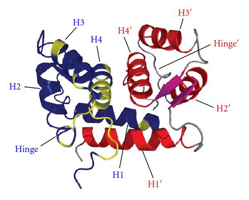 Details are in the caption following the image