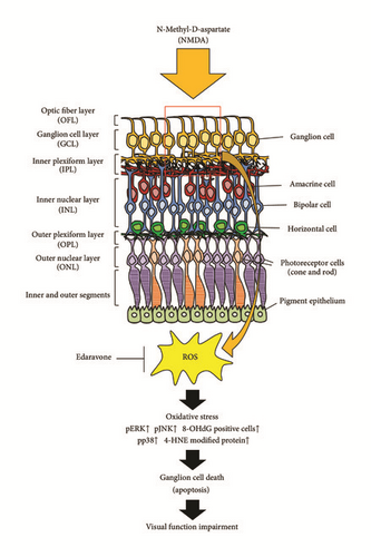 Details are in the caption following the image