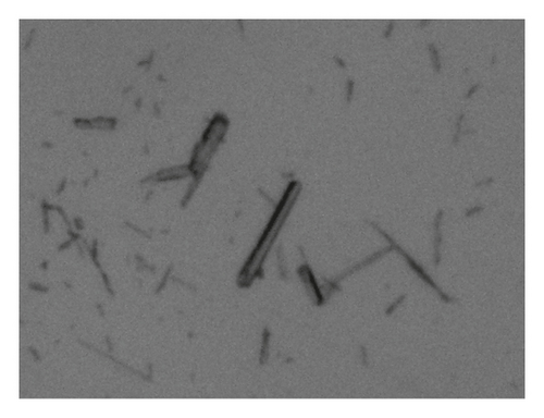 Details are in the caption following the image