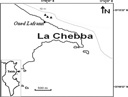 Details are in the caption following the image Details are in the caption following the image