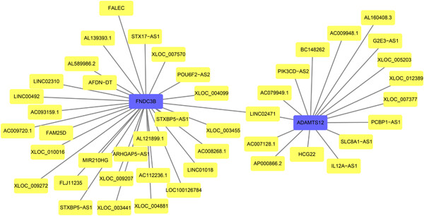 Comprehensive bioinformatics analysis identifies lncRNA HCG22 as a migration inhibitor in esophageal squamous cell carcinoma