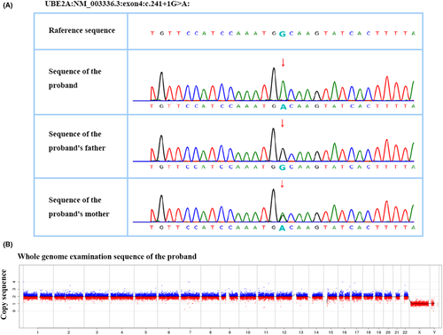 Details are in the caption following the image Details are in the caption following the image