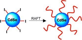 Reversible Addition Fragmentation Chain Transfer (RAFT) Polymerization from Unprotected Cadmium Selenide Nanoparticles