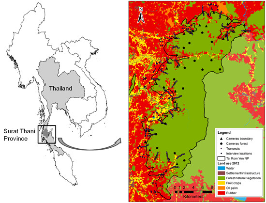 Between conflict and coexistence: Wildlife in rubber-dominated landscapes 冲突与共存之间:橡胶林主导景观中的野生动物