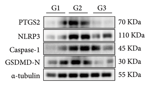 Details are in the caption following the image