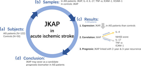 Clinical value of serum JKAP in acute ischemic stroke patients