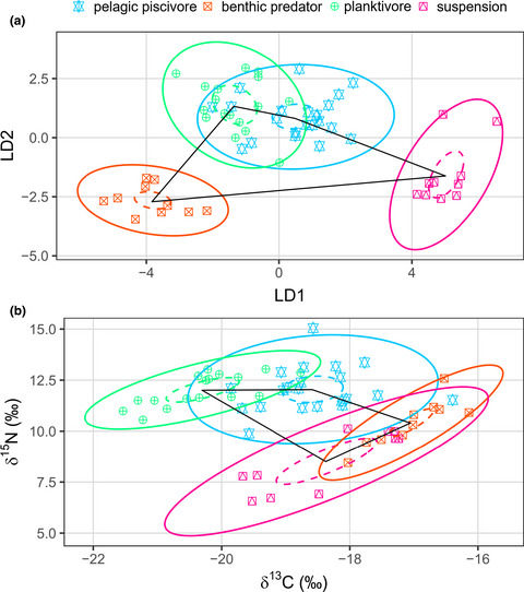 Characterizing niche differentiation among marine consumers with amino acid δ13C fingerprinting