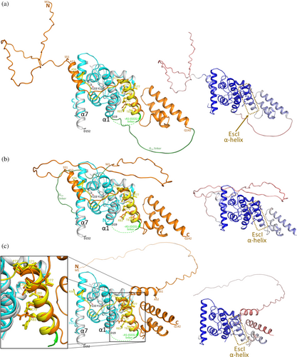 Details are in the caption following the image Details are in the caption following the image