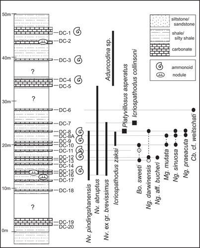 Details are in the caption following the image Details are in the caption following the image