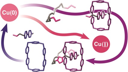 Symbiotic Control in Mechanical Bond Formation