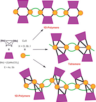 Das Potential von Molybdänkomplexen mit unsubstituierten heterodiatomaren Gruppe-15-Elementen als Linker in der supramolekularen Chemie