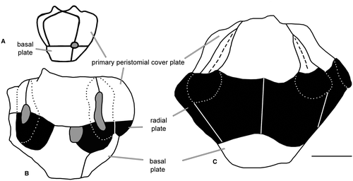 Details are in the caption following the image Details are in the caption following the image