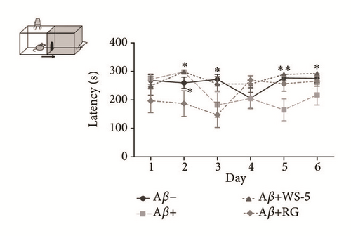 Details are in the caption following the image Details are in the caption following the image