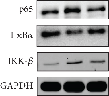 Details are in the caption following the image