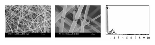 Details are in the caption following the image