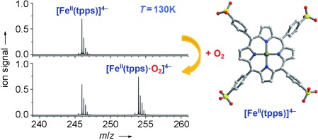 Binding of O2 and CO to Metal Porphyrin Anions in the Gas Phase