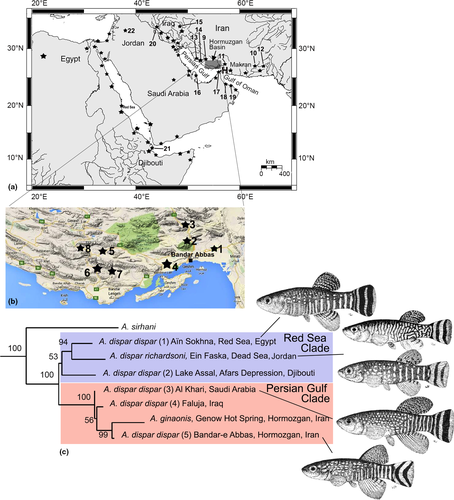 Details are in the caption following the image Details are in the caption following the image