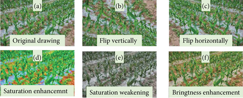 Details are in the caption following the image Details are in the caption following the image