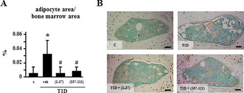 Details are in the caption following the image